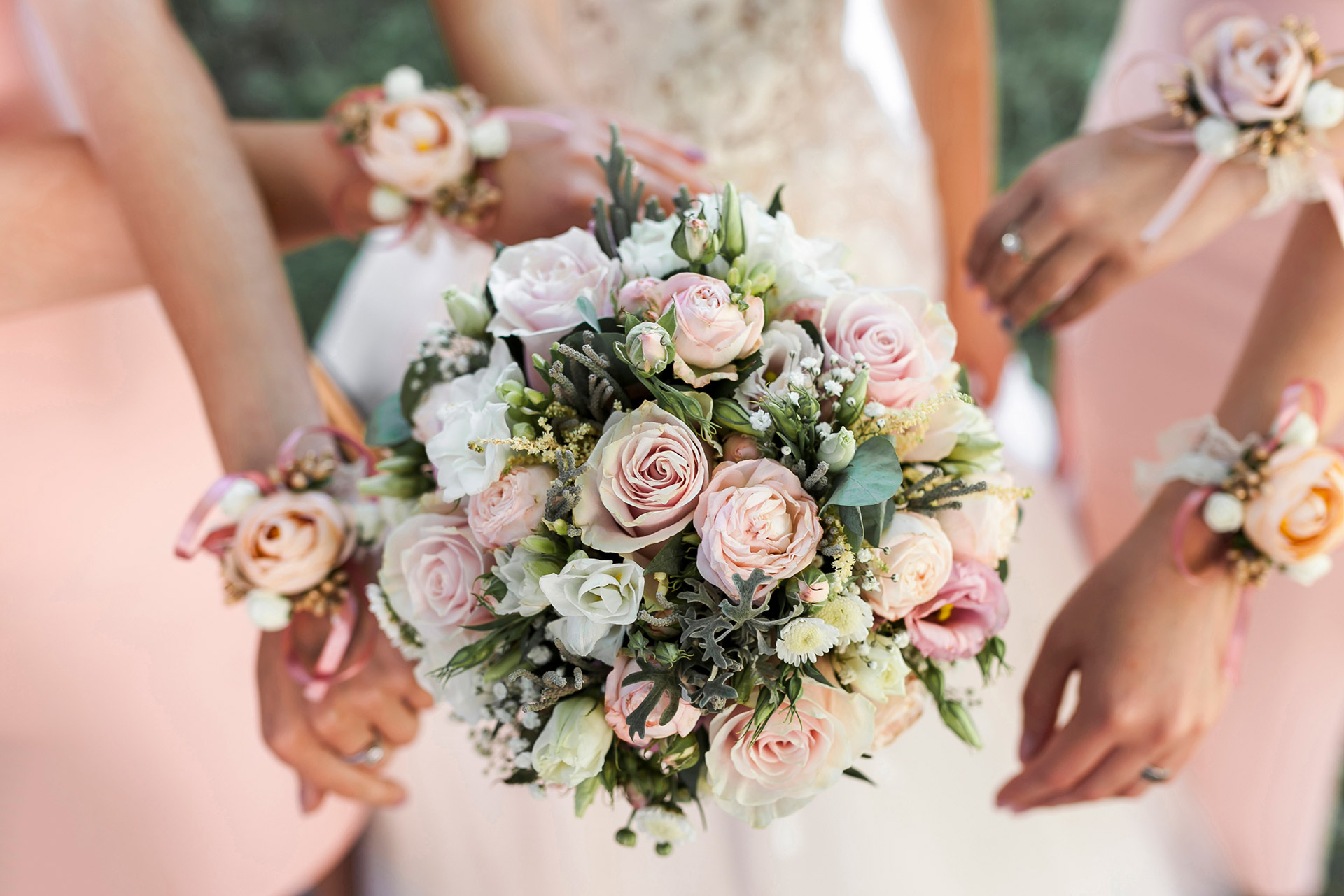 bride-bridesmaids bride-bridesmaids